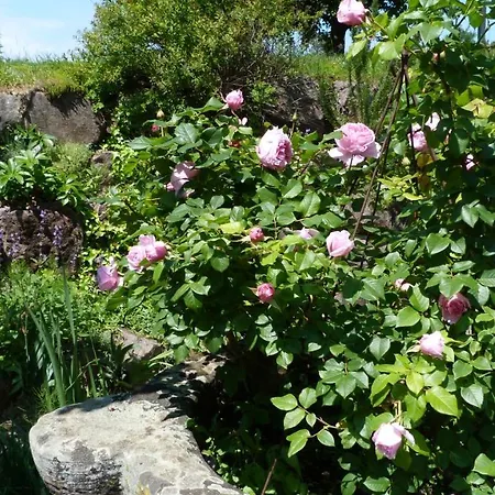 Familie Kunz Apartment *